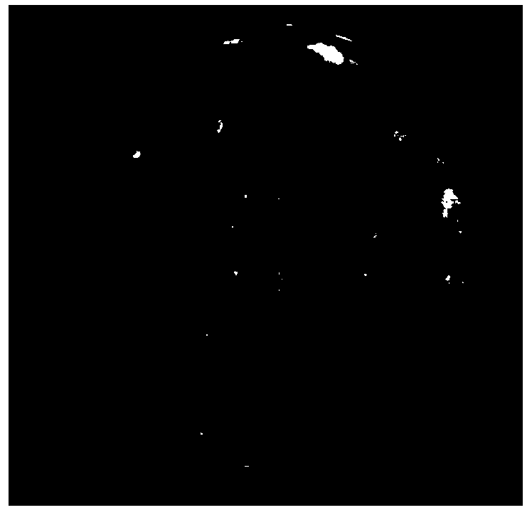 Selective culture medium for separating Fusarium graminearum species complex from air