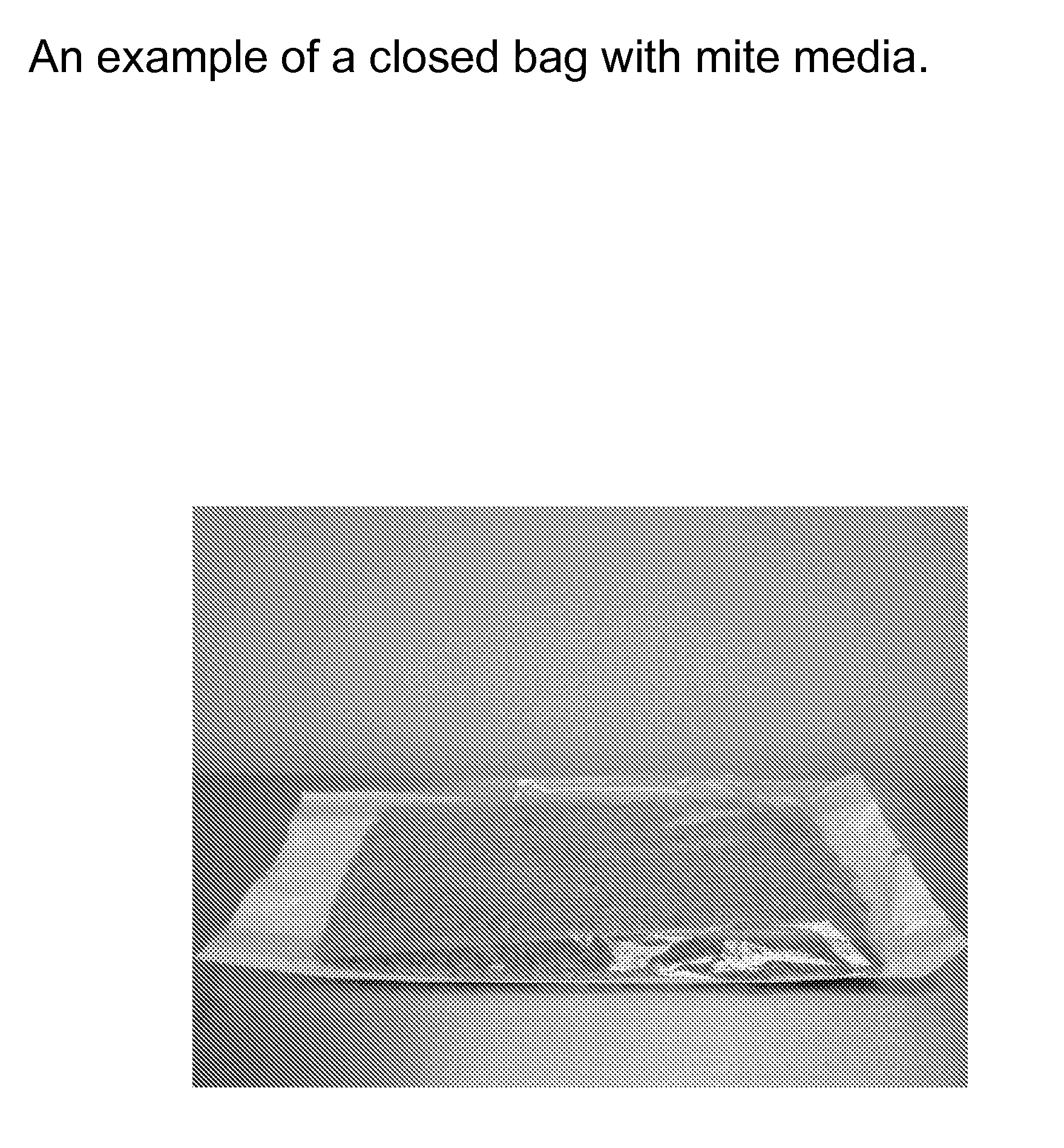 Method for mite production