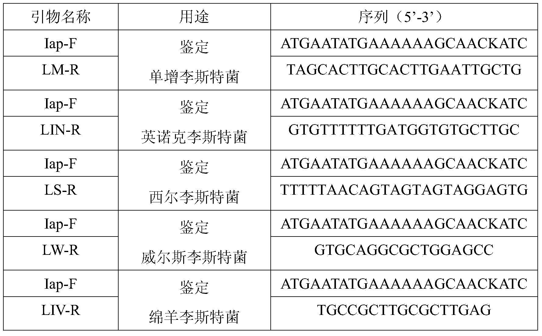 Method for rapidly detecting and identifying Listeria bacteria