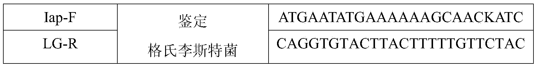 Method for rapidly detecting and identifying Listeria bacteria