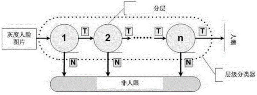 Three-dimensional face reconstruction method based on gray scale and depth information