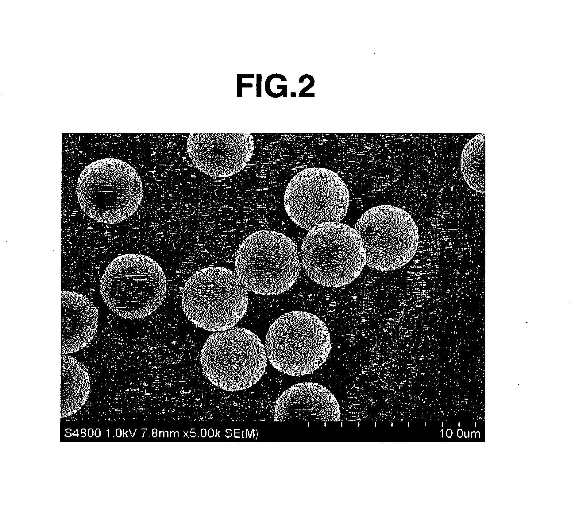 Conductive particles and method of preparing the same