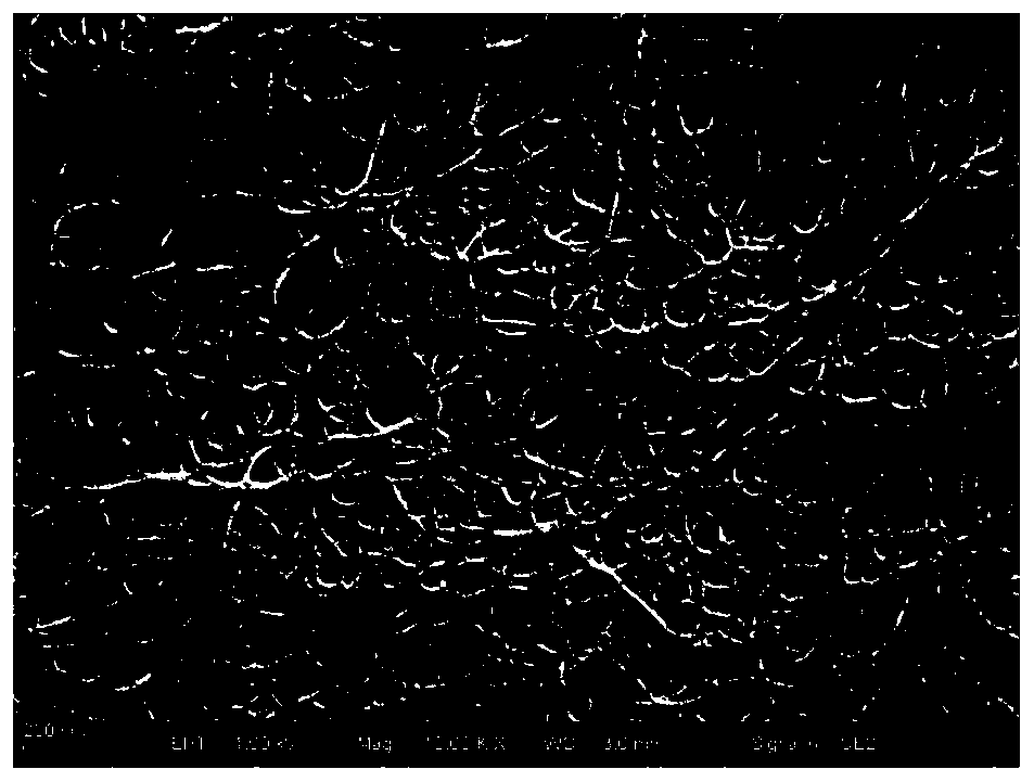 A kind of high temperature resistant multi-layer diaphragm composite lithium-ion battery diaphragm and preparation method thereof