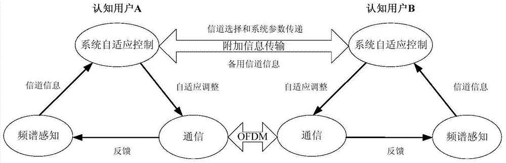 A system parameter transmission method in a cognitive radio communication system