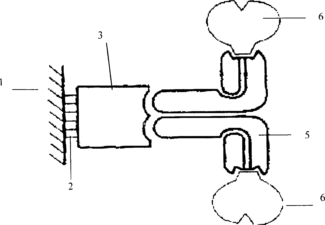 Protein chip of directional immobilizing antibody, its preparing method and use thereof