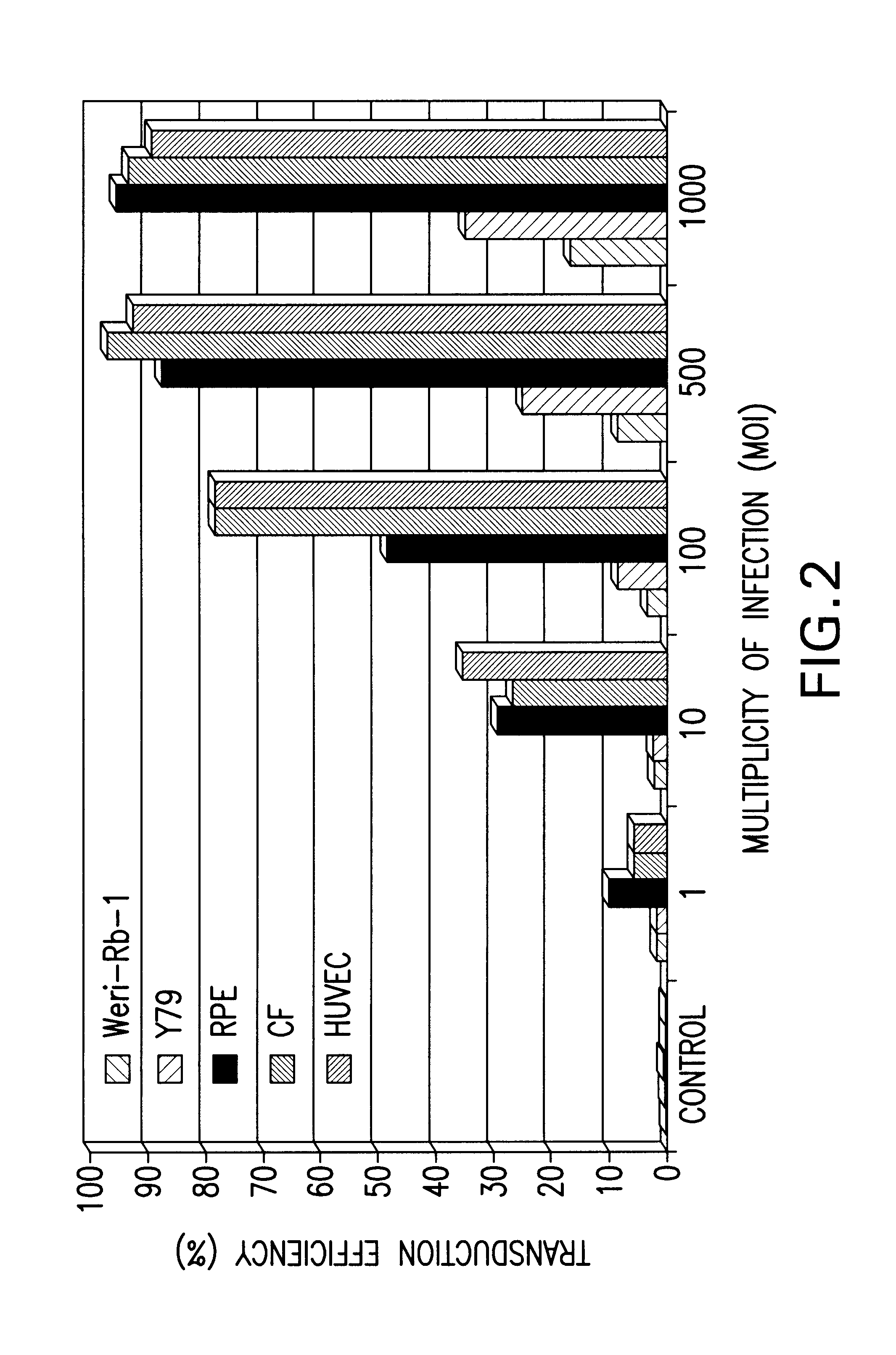 Lentiviral vector-mediated gene transfer and uses thereof