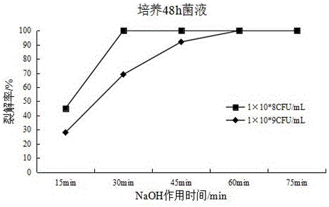 Actinobacillus pleuropneumoniae ghost vaccine