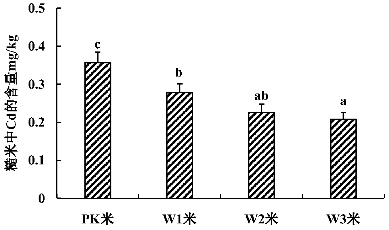 Rice leaf fertilizer capable of increasing yield and reducing cadmium and using method of rice leaf fertilizer