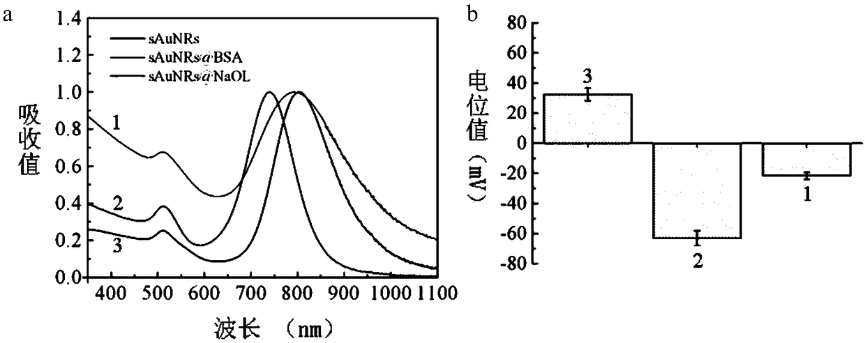 Tumor targeting drug delivery system loaded with nanometer materials, and construction method and application of tumor targeting drug delivery system