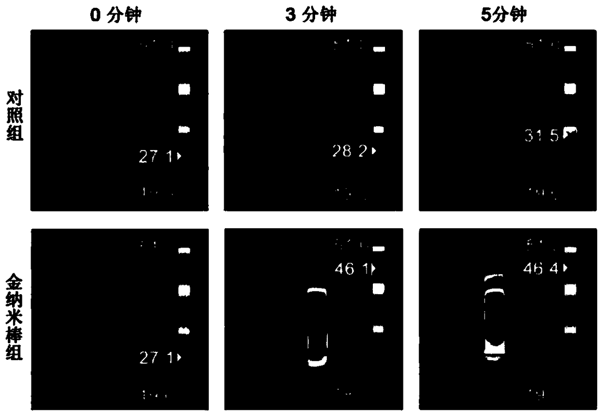 Tumor targeting drug delivery system loaded with nanometer materials, and construction method and application of tumor targeting drug delivery system