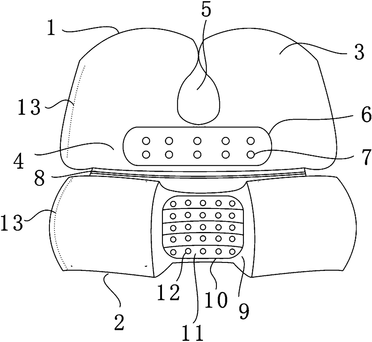 A far-infrared magnet physiotherapy sleep pillow