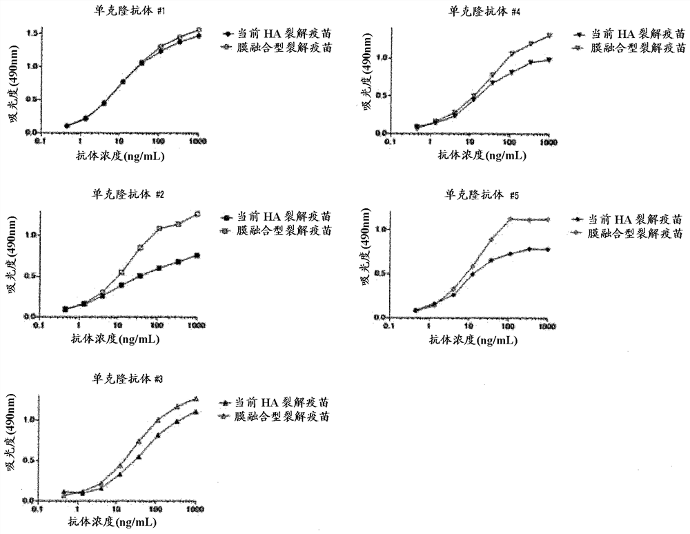 Method for preparing influenza ha split vaccine