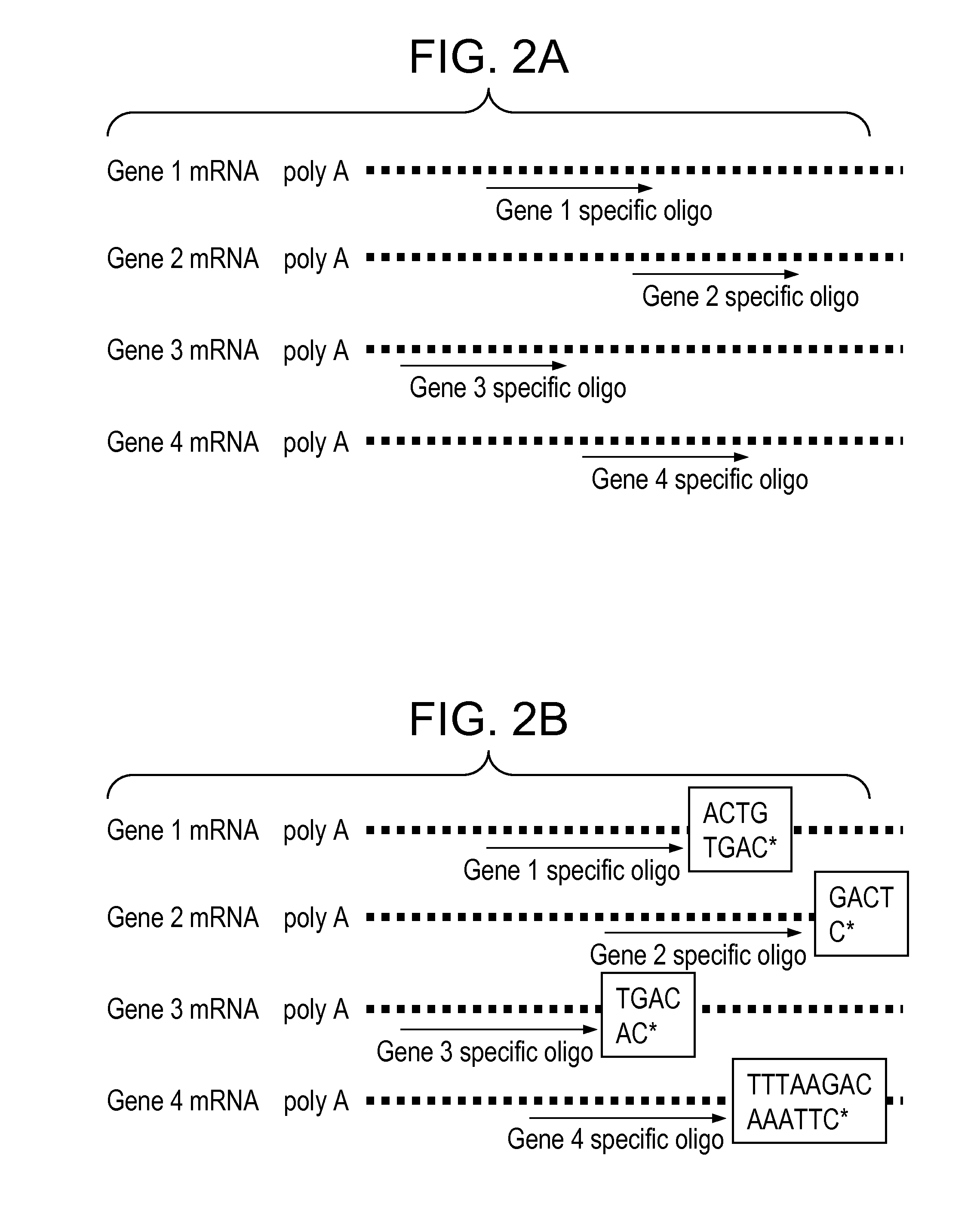 Detection method for gene expression