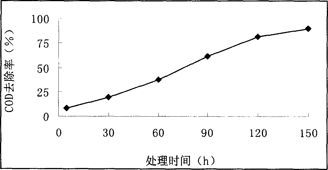 Water treatment method using tourmaline as catalyst