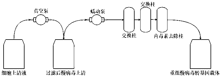 Replication-defective recombinant lentivirus CAR-T transgenic vector targeting CD152 and construction method of replication-defective recombinant lentivirus CAR-T transgenic vector