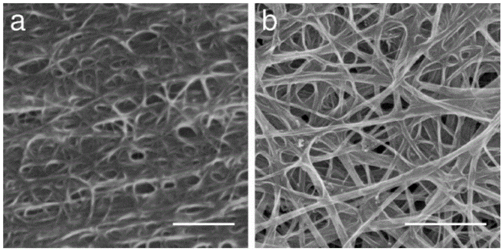 Carbon nanotube network/polymer composite material and preparation method thereof