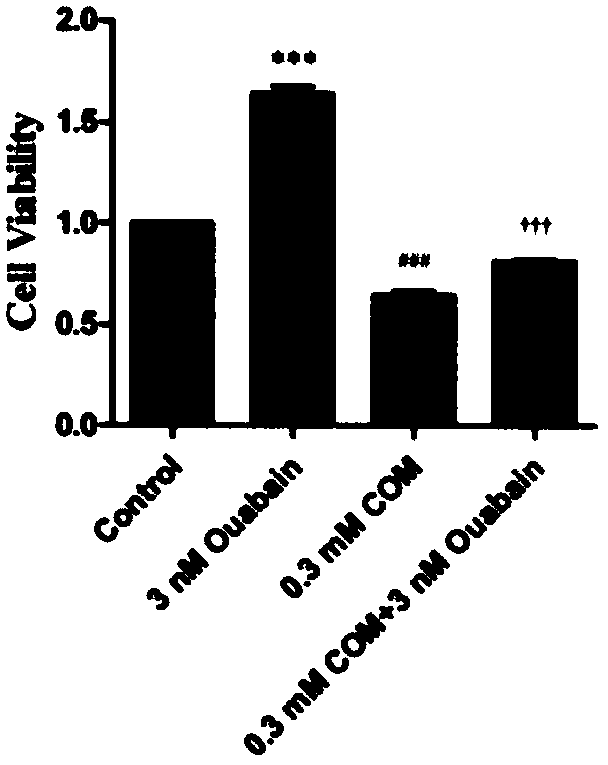 Application of ouabain in preparation of anti-kidney stone kidney tubule injury drug