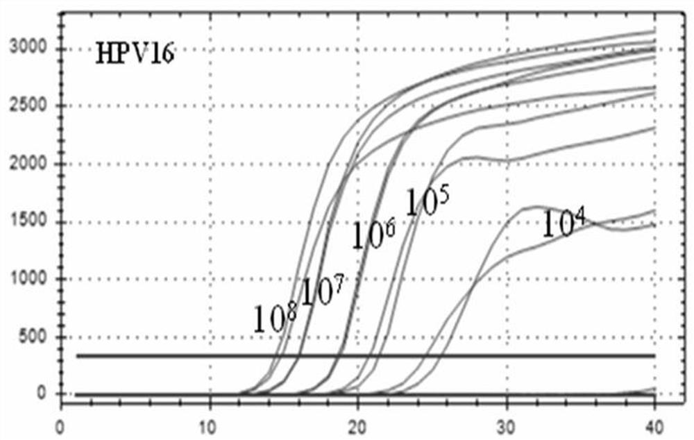 LAMP (loop-mediated isothermal amplification) primer group and kit for bedside rapid detection of HPV (human papillomavirus) and use method of LAMP primer group