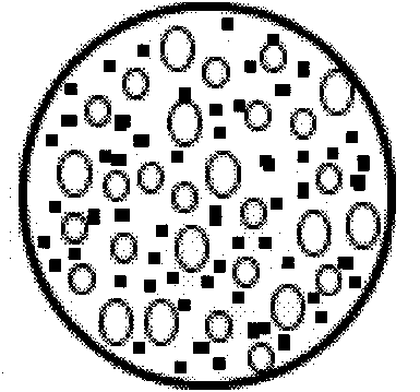 Microorganism-containing fertilizer produced by mycoderm method and production method of fertilizer