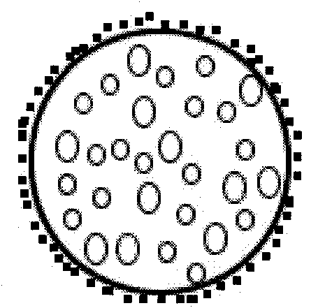 Microorganism-containing fertilizer produced by mycoderm method and production method of fertilizer