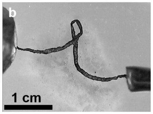 Porous graphene-carbon nanotube composite fiber and its rapid preparation method