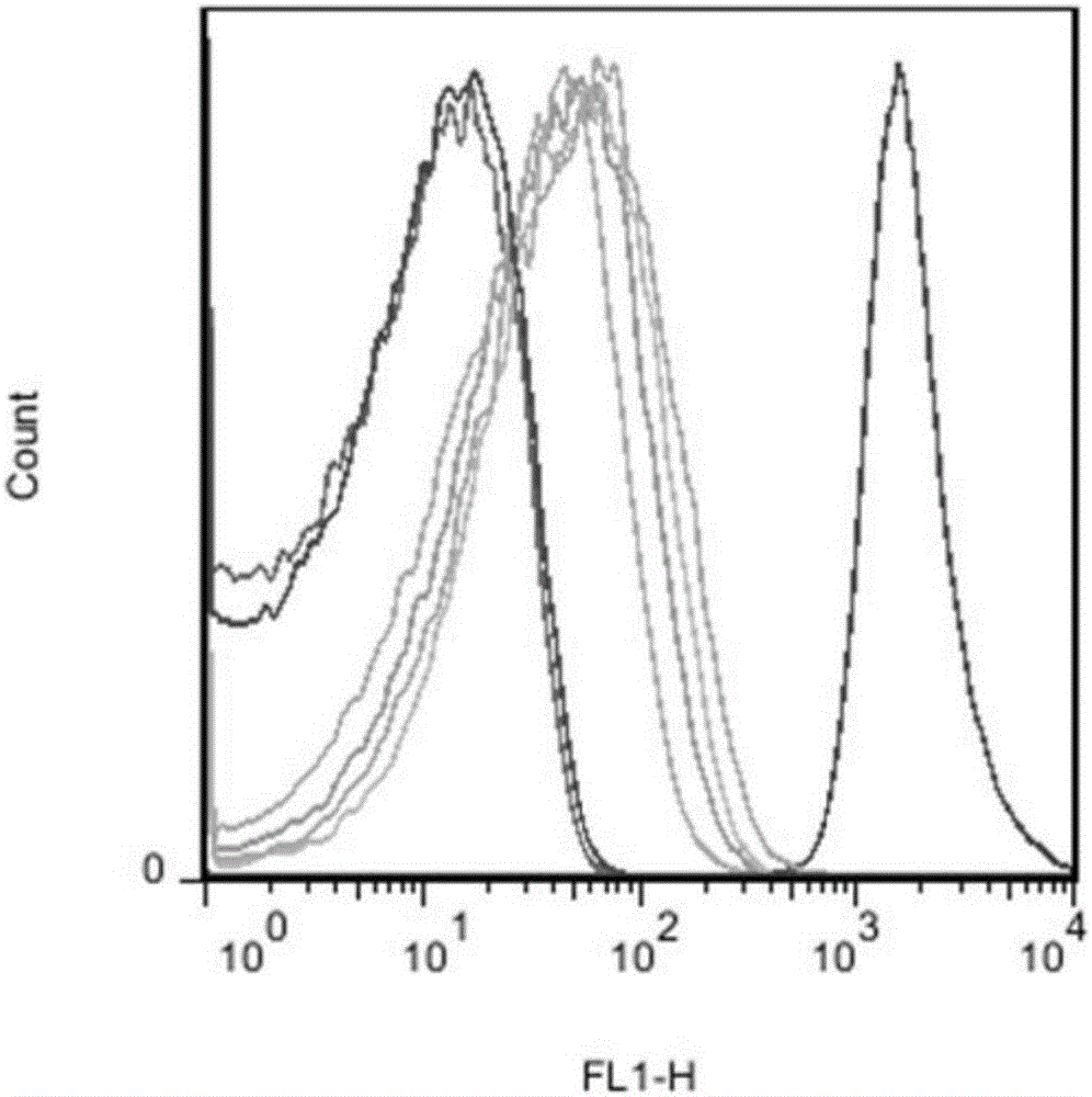 5'-UTR element and application thereof in production