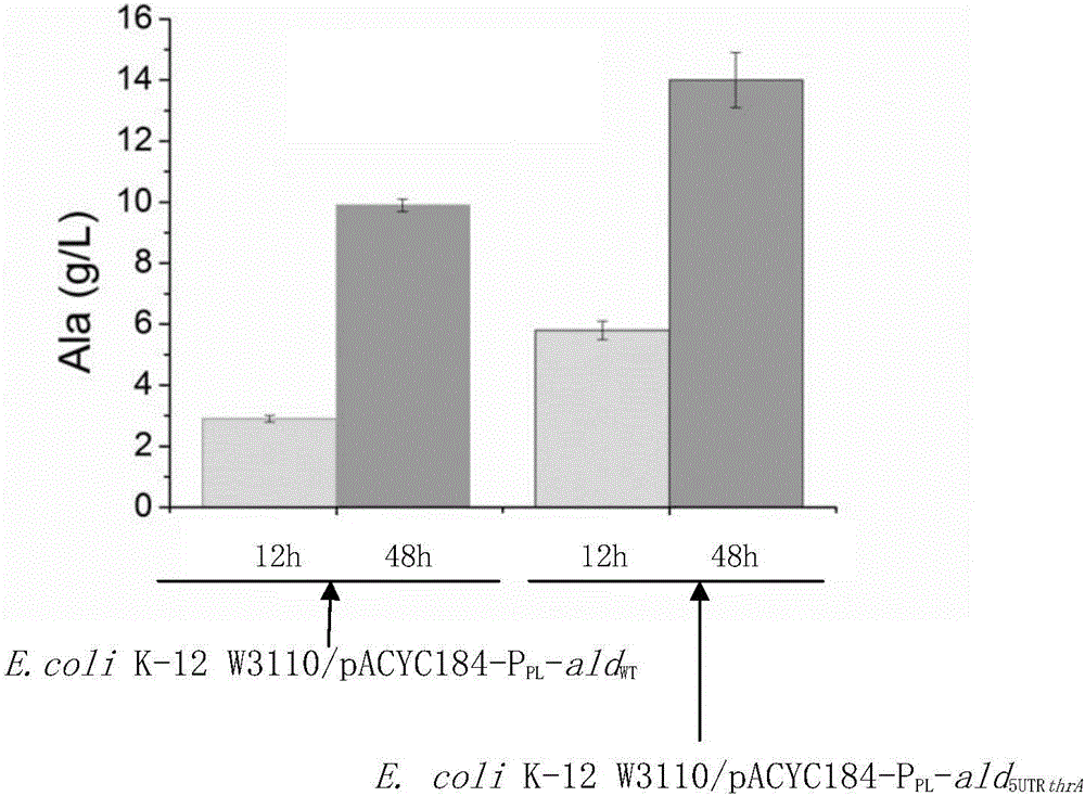 5'-UTR element and application thereof in production