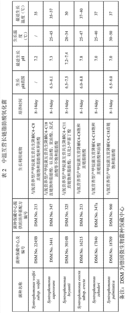 Complex microbial inoculant rich in grease raw material for medium-temperature biogas fermentation system and preparation method and application thereof