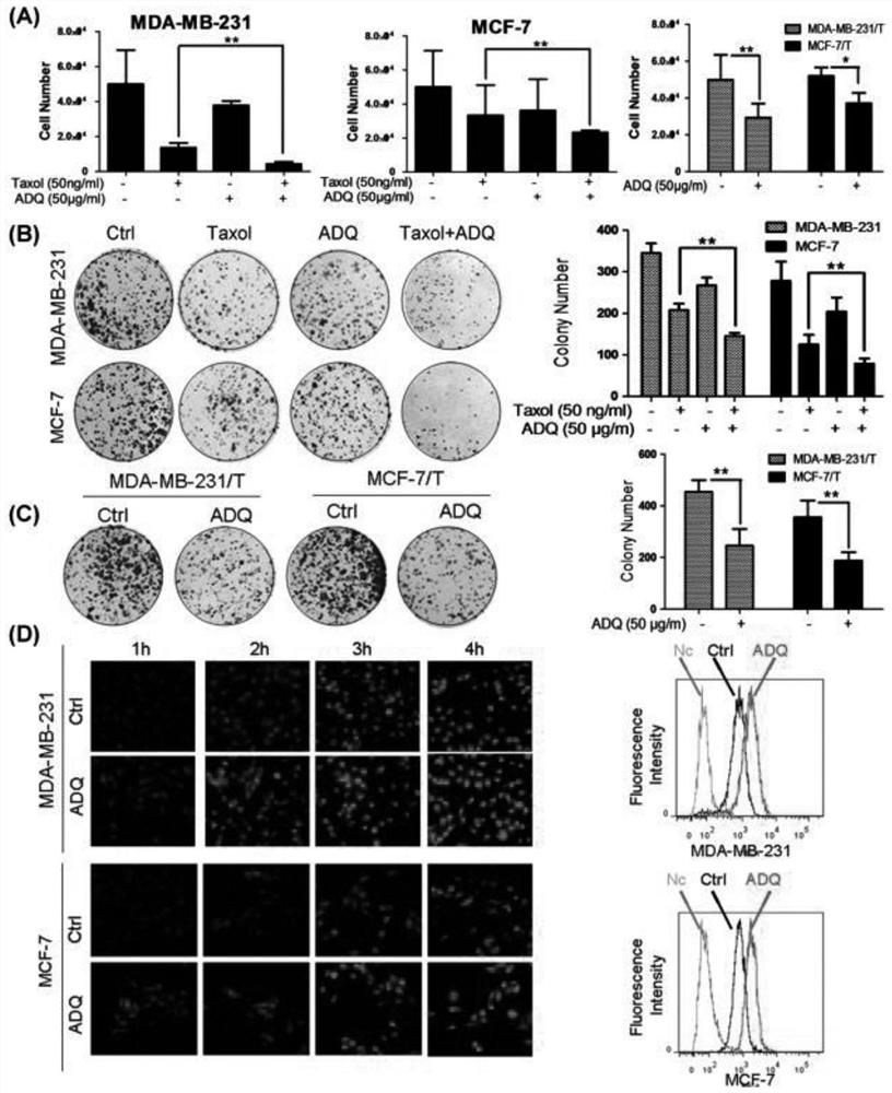 A traditional Chinese medicine composition for chemosensitization of breast cancer and its preparation method