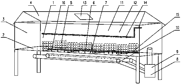 Henhouse of elevated net cage structure