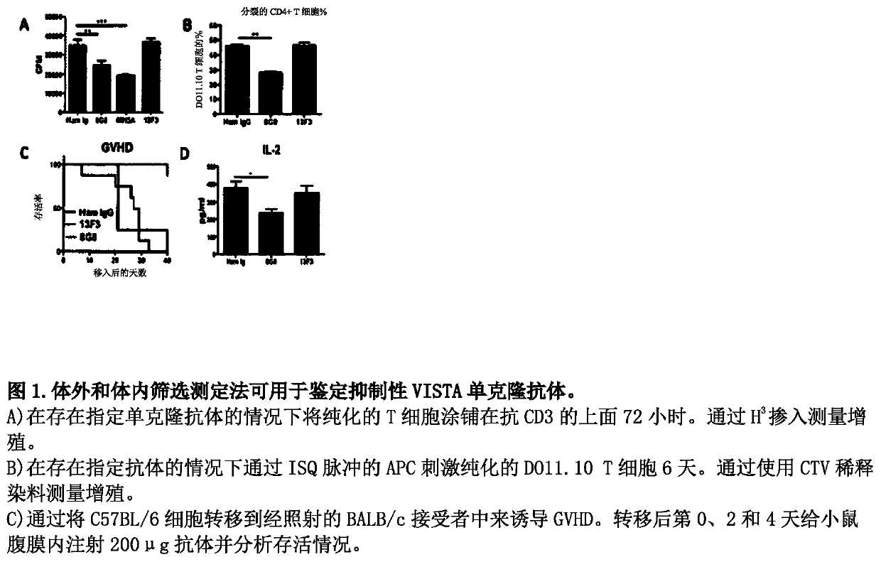 Anti-human vista antibodies and use thereof