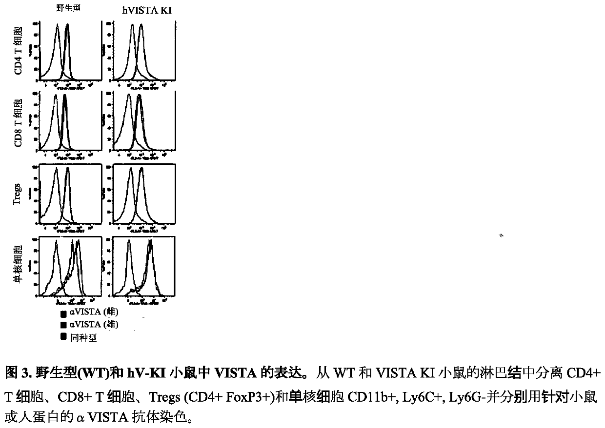 Anti-human vista antibodies and use thereof