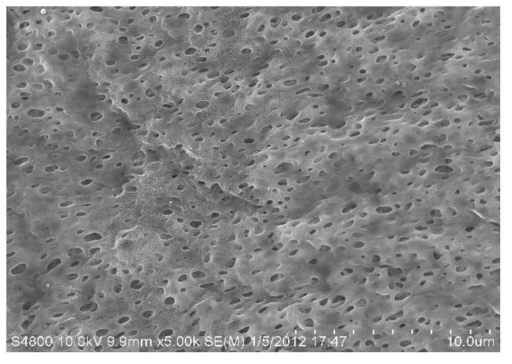 Hydrophilic modified PVDF and PU mixed taper hole ultrafilteration membrane and preparation method thereof