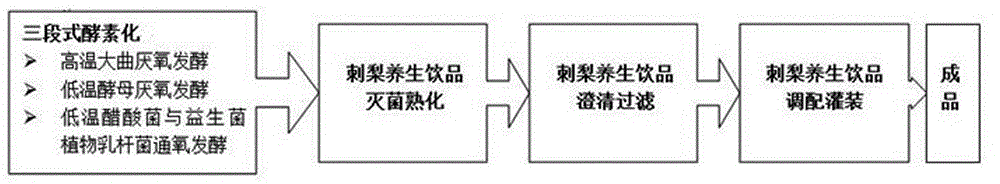 Enzymolyzed rosa roxburghii health beverage and preparation process thereof