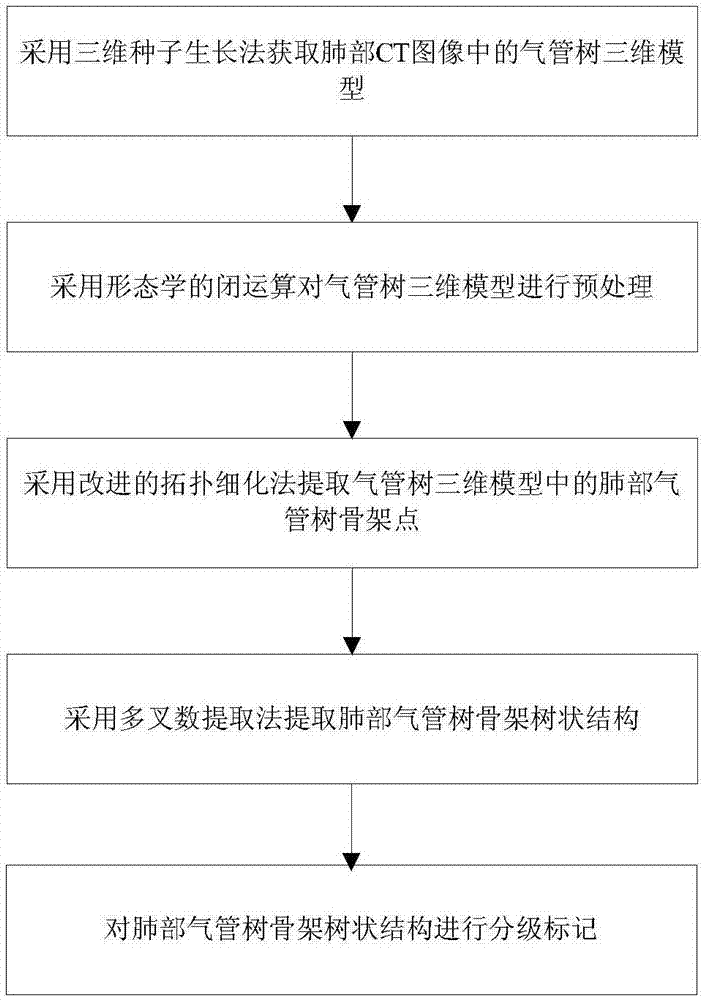 Pulmonary CT image airway three-dimensional skeleton dendritical structure extracting and marking method