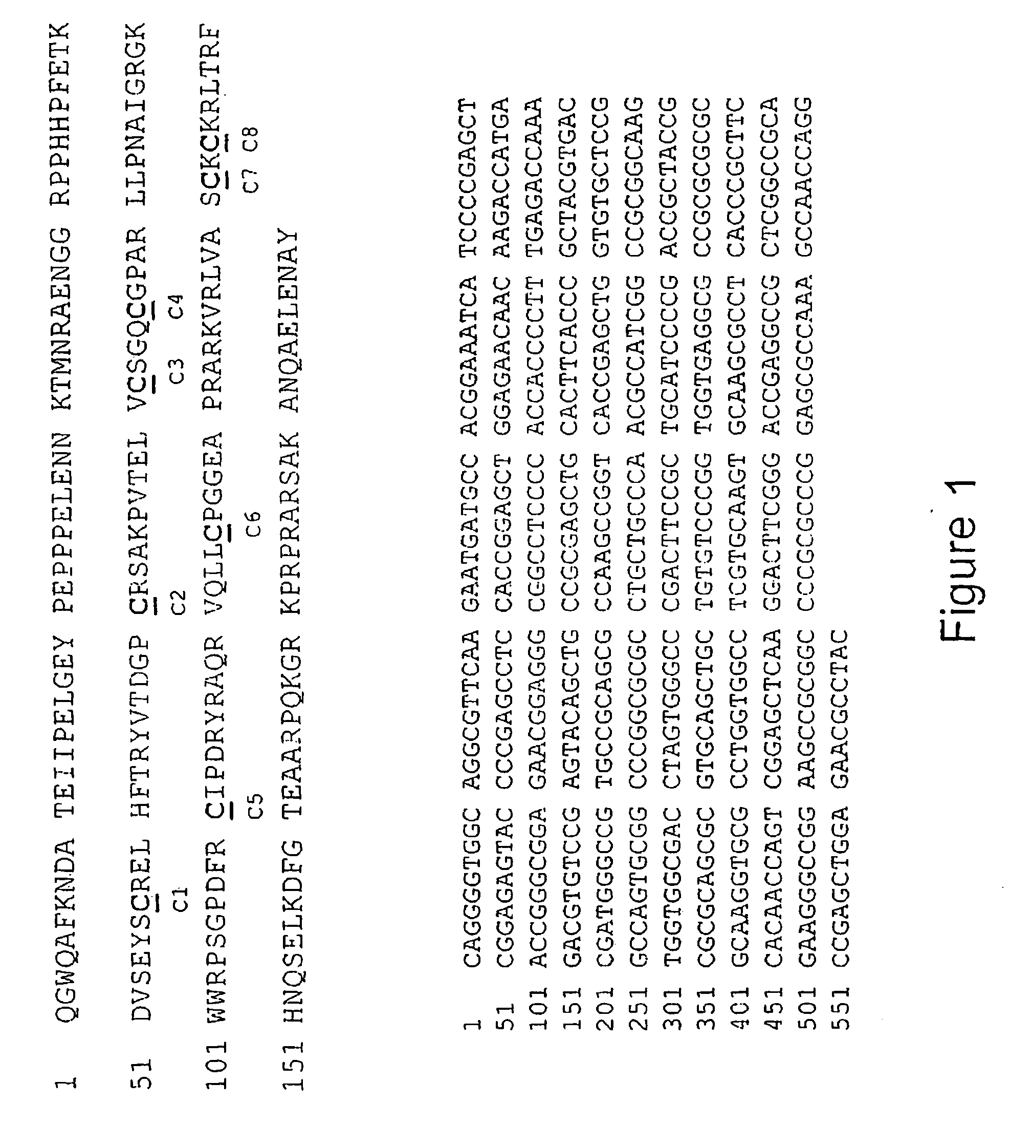 Antibodies and diagnostics