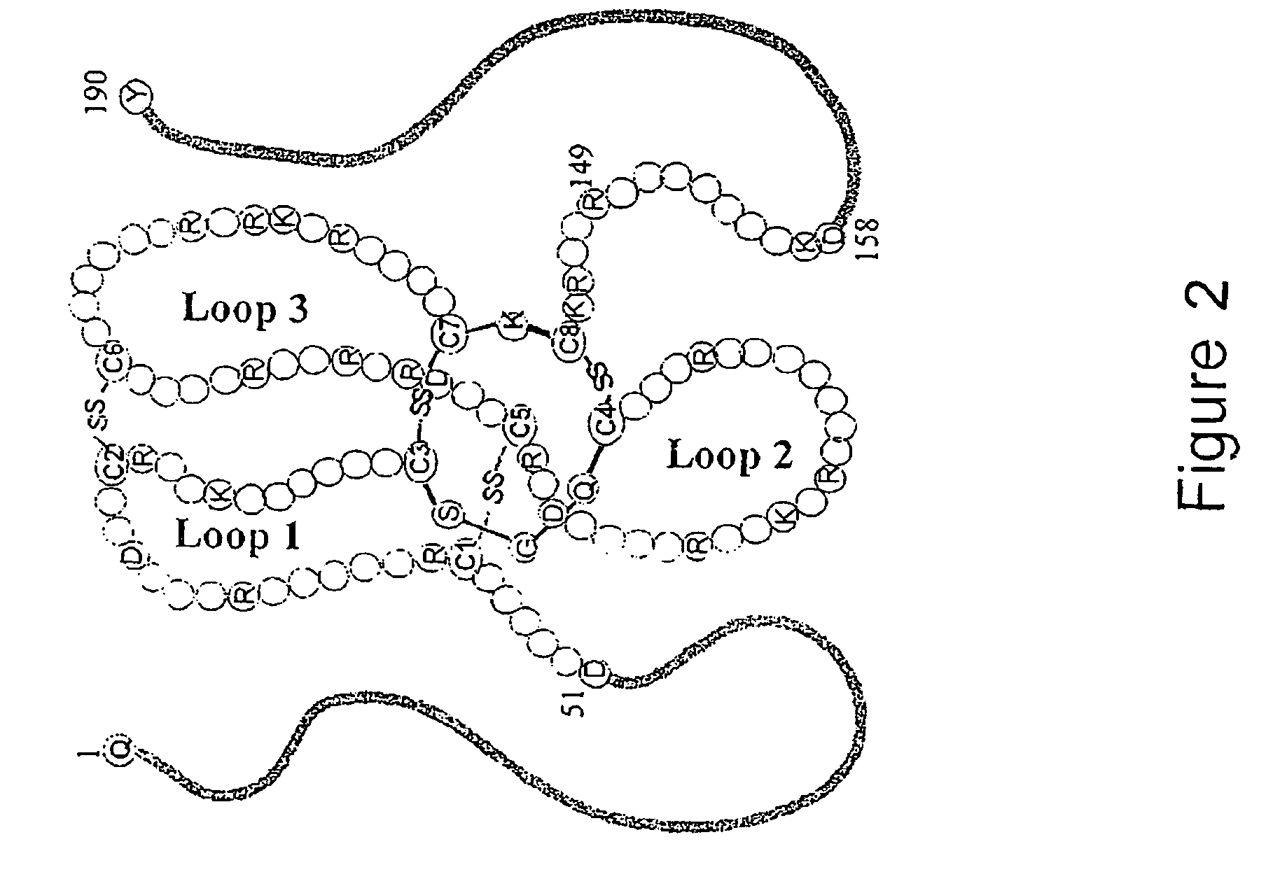 Antibodies and diagnostics