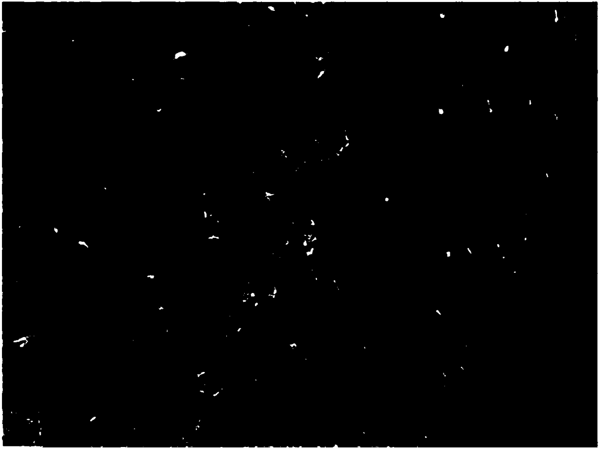 Fiber-enhanced cellulose triacetate reverse osmosis membrane and preparation method thereof