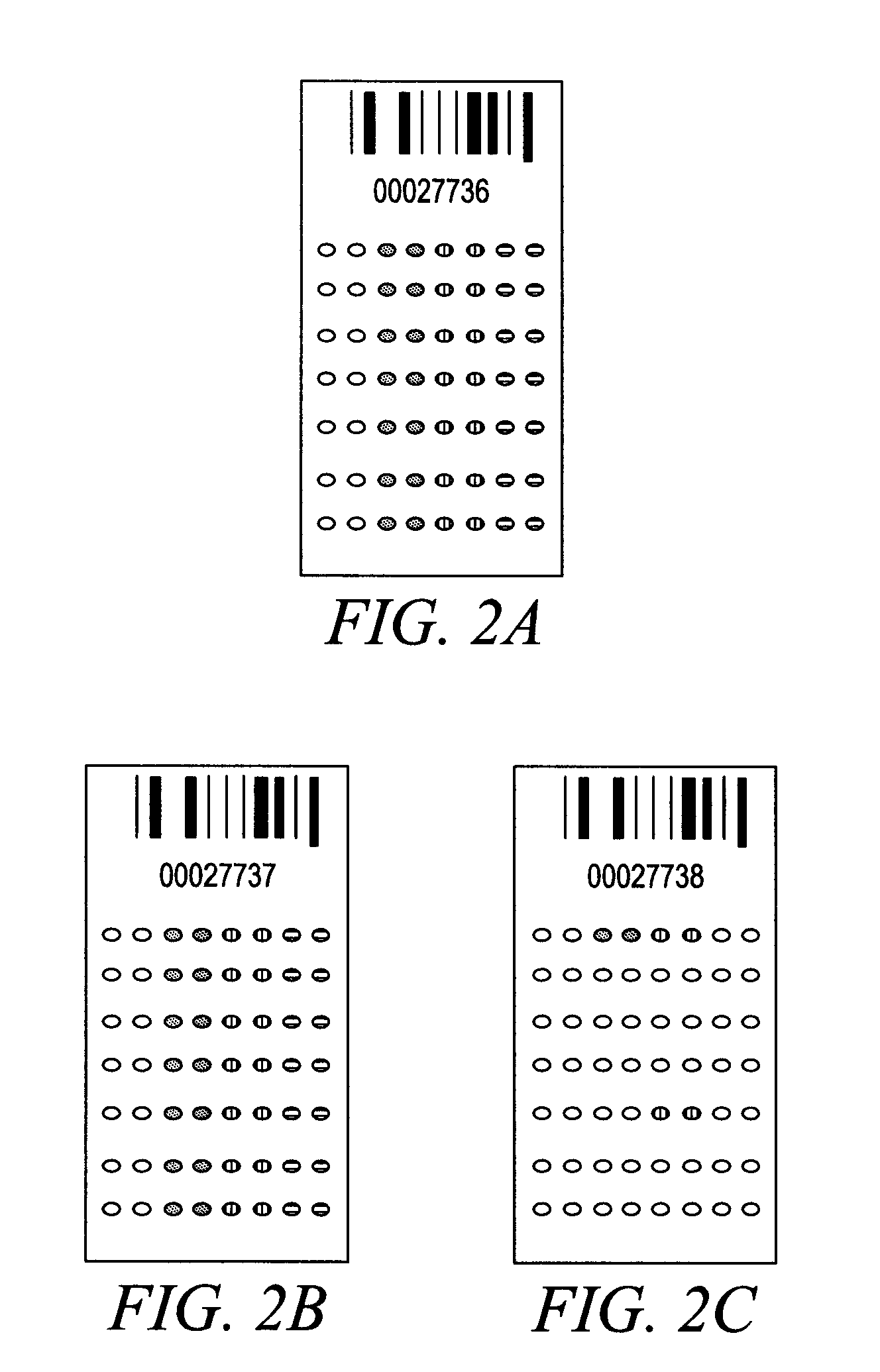 Compositions and methods for determining immune status