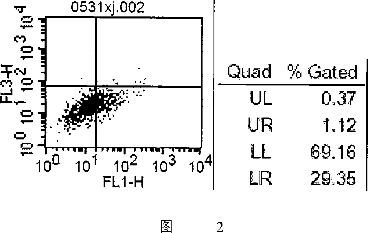 Method for separating stem cell of breast cancer