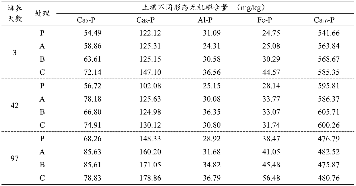 Method for preparing ammonium phosphate containing humic acid synergistic carrier for winter wheat or spring corn base fertilizer