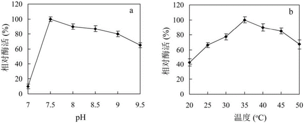 A group of DNA molecules and recombinant plasmids thereof as well as recombinant escherichia coli and application of recombinant escherichia coli in producing astragalin