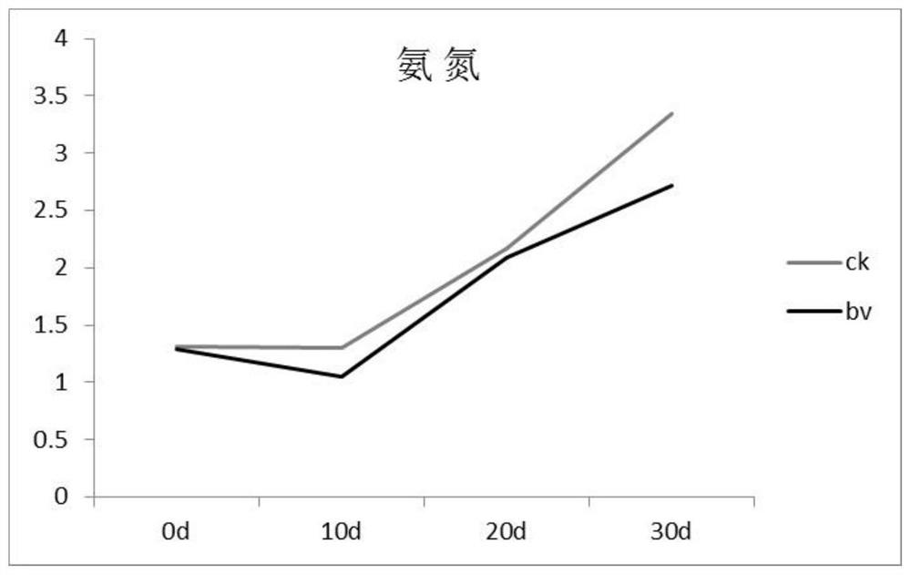 Bacillus velezensis as well as compound bacteria preparation and application thereof