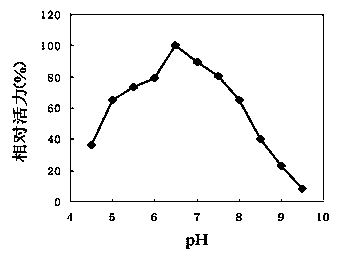 Recombinant high-temperature pullulanase and preparation method thereof