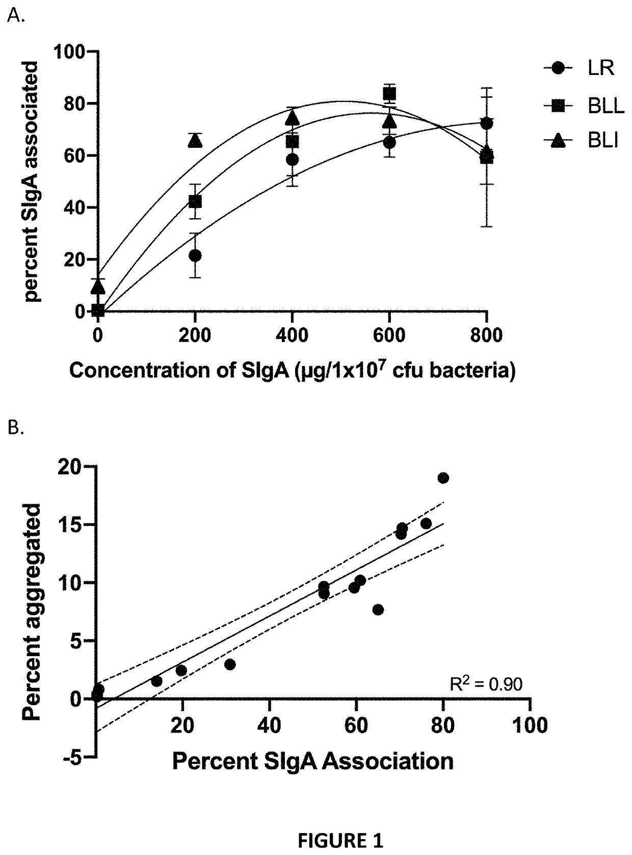 Beneficial bacteria and secretory immunoglobulin a