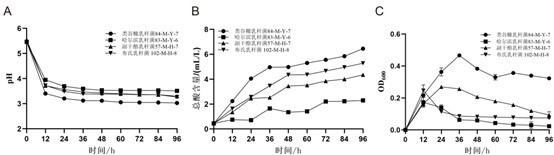 Lactobacillus cavings for fermentation and application thereof