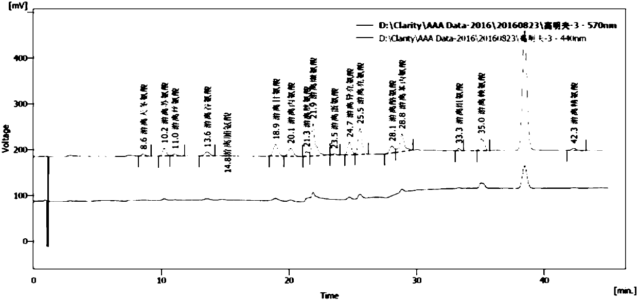 Bacillus megaterium, polypeptide agricultural microbial agent thereof as well as preparation method and application of polypeptide agricultural microbial agent