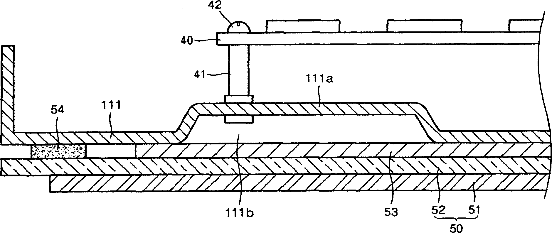 Display module