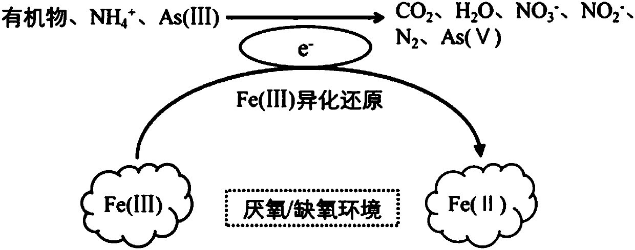 Anaerobic biological oxidation water pollution remediation method with Fe3+ in hematite as electron acceptor