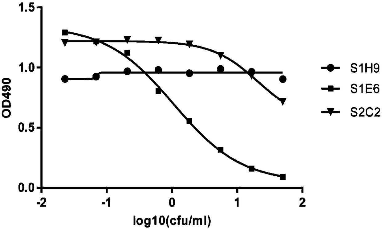 Anti-IL-4R antibody and application thereof